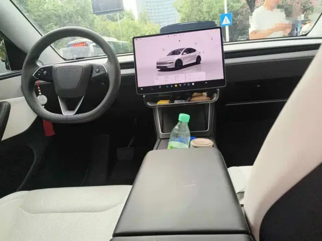 Tesla Model Y 2025 Model Rear-Wheel Drive Launch Edition — Фото автомобиля 12