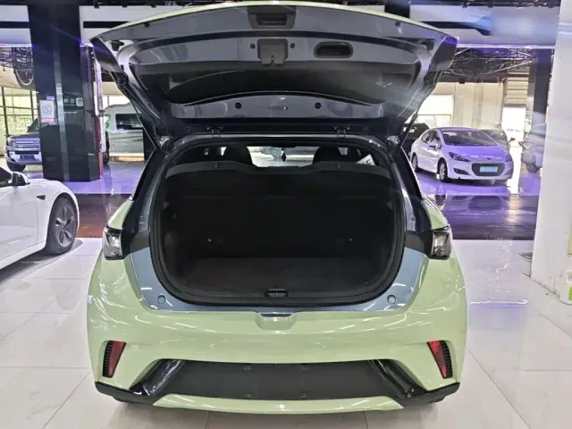 BYD Dolphin — Фото автомобиля 18