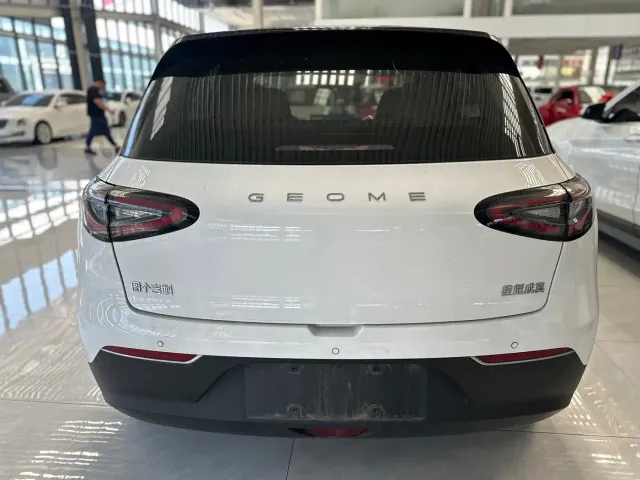 Geely Starry Wish — Фото автомобиля 17