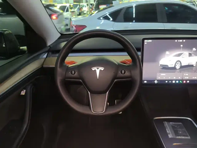 Tesla Model Y — Фото автомобиля 10