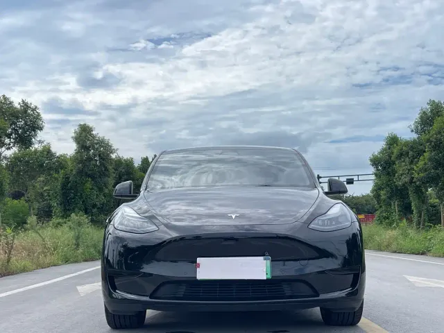 Tesla Model Y — Фото автомобиля 2
