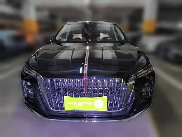 Hongqi H5 — Фото автомобиля 22