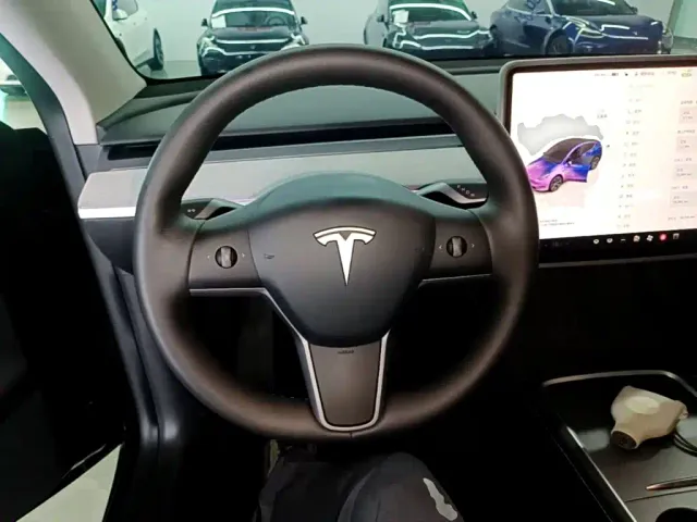Tesla Model Y — Фото автомобиля 10