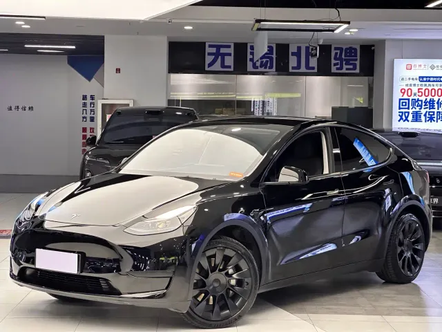 Tesla Model Y — Фото автомобиля 2
