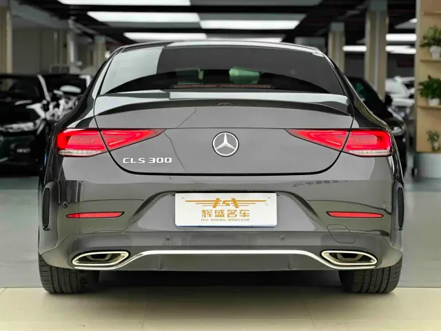 Mercedes-Benz CLS-Class — Фото автомобиля 9