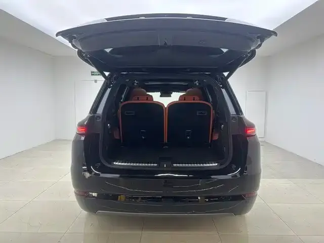 Li Auto L9 — Фото автомобиля 15