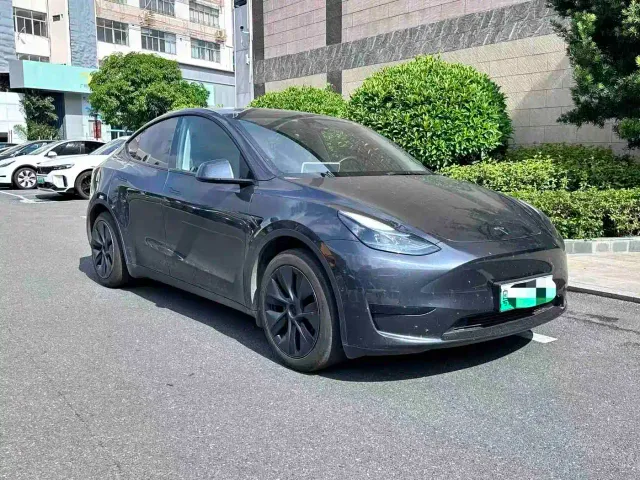 Tesla Model Y — Фото автомобиля 2