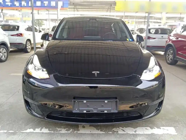 Tesla Model Y — Фото автомобиля 2