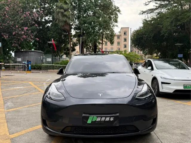 Tesla Model Y — Фото автомобиля 2