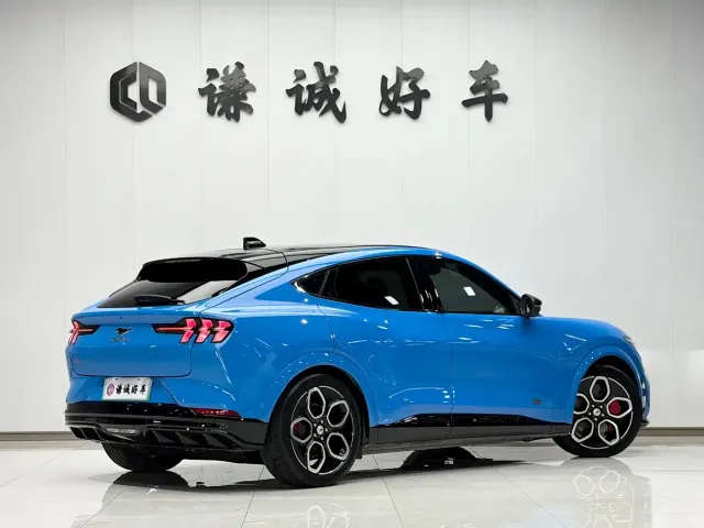 Ford Mustang Mach-E — Фото автомобиля 5