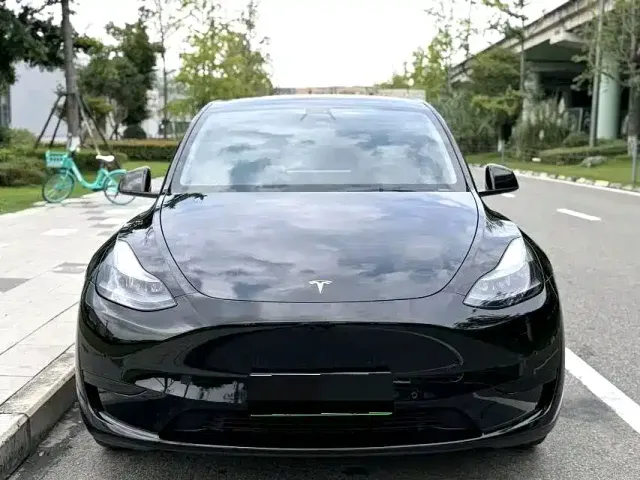 Tesla Model Y — Фото автомобиля 2