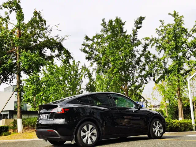 Tesla Model Y — Фото автомобиля 6