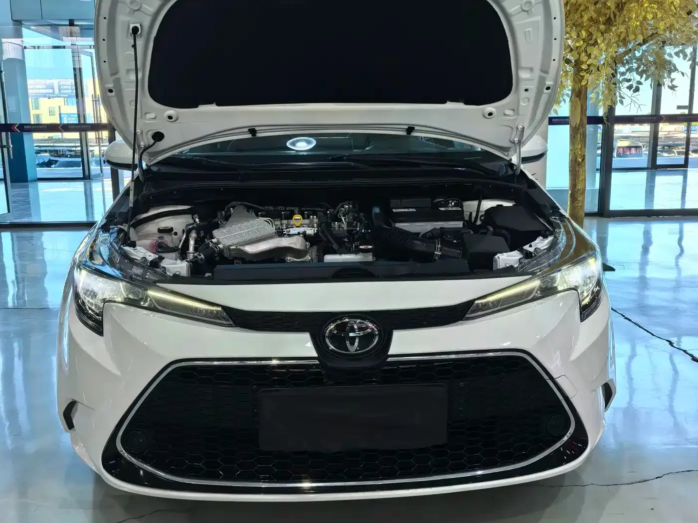 Toyota Levin 2022 185T CVT Luxury Edition — Фото автомобиля 17