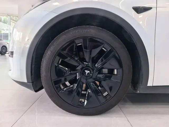 Tesla Model Y — Фото автомобиля 21