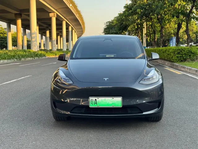 Tesla Model Y — Фото автомобиля 2