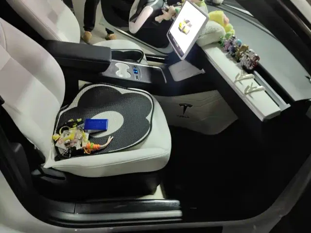 Tesla Model 3 — Фото автомобиля 8