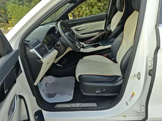 BYD Song PLUS — Фото автомобиля 14