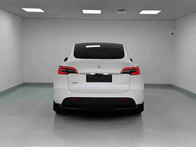 Tesla Model Y — Фото автомобиля 18