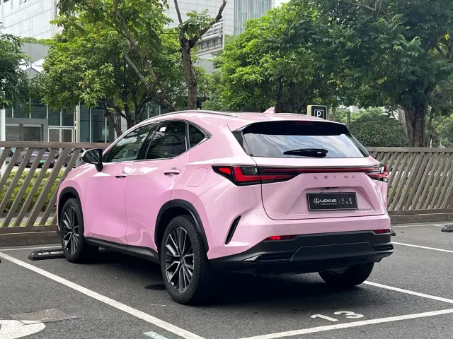 Lexus NX — Фото автомобиля 17