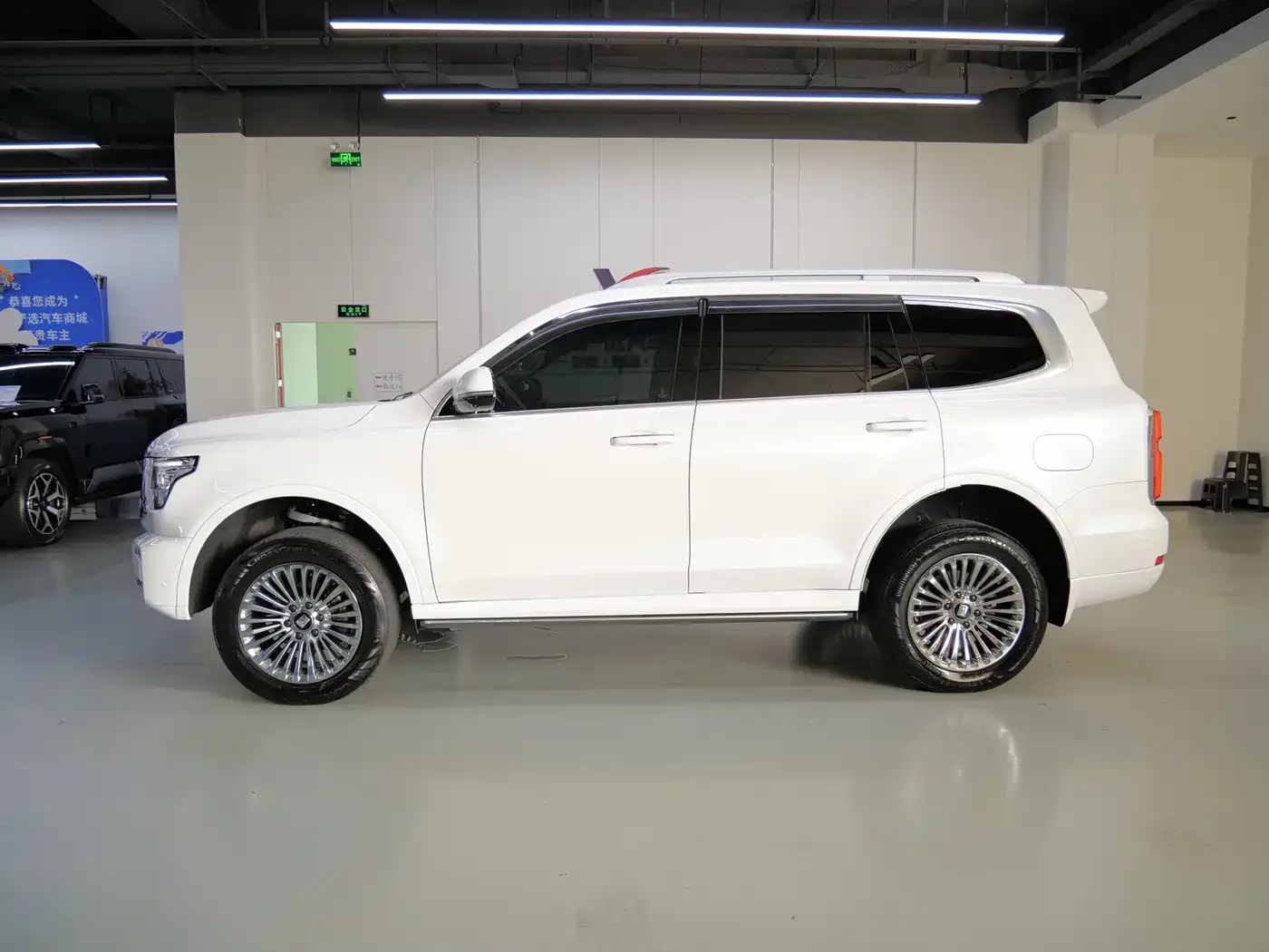 Tank Tank 500 2022 3.0T Business Edition Zaojing 5-Seater — Фото автомобиля 4