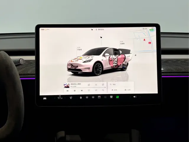 Tesla Model Y — Фото автомобиля 16