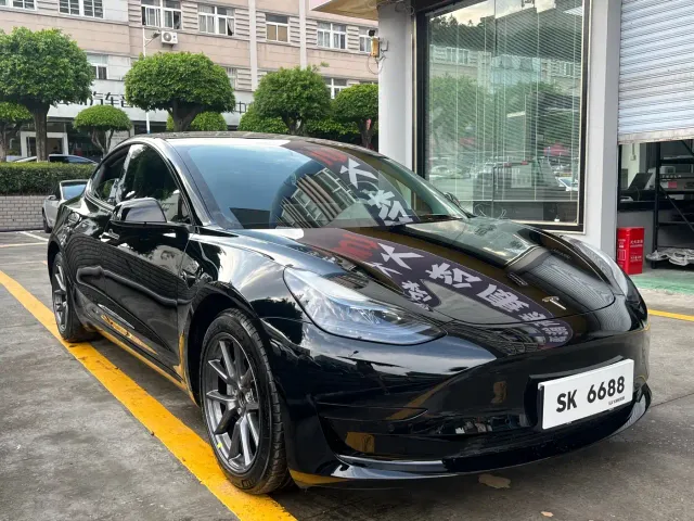 Tesla Model 3 2022 Model Rear-Wheel Drive Version — Фото автомобиля 3
