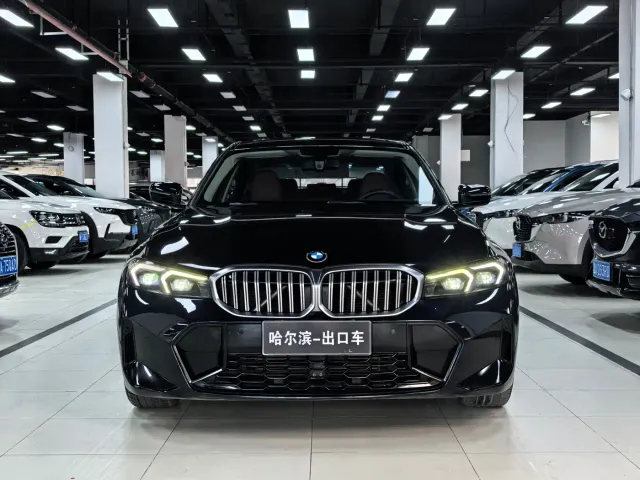 BMW 3 Series — Фото автомобиля 2