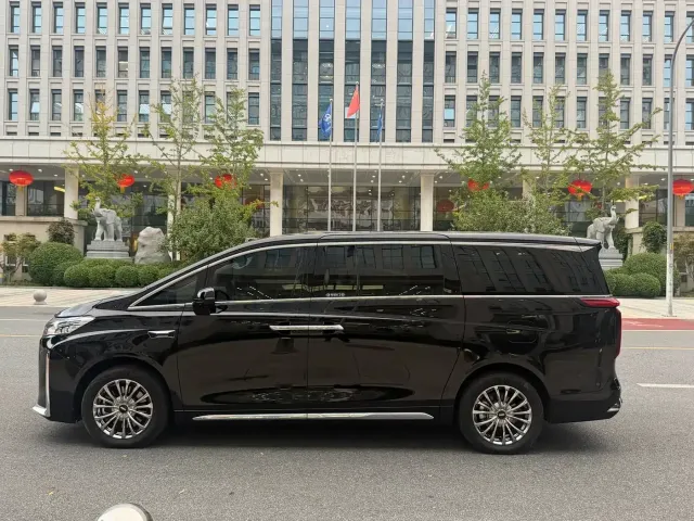 Wey Alpine — Фото автомобиля 5