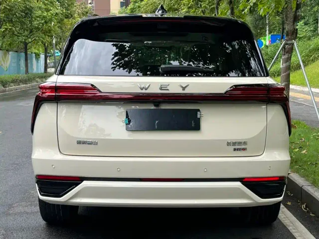 Wey Lanshan — Фото автомобиля 10