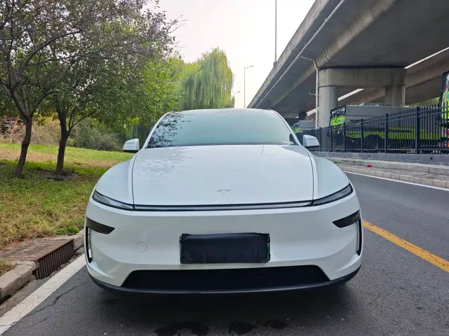 Tesla Model Y — Фото автомобиля 2