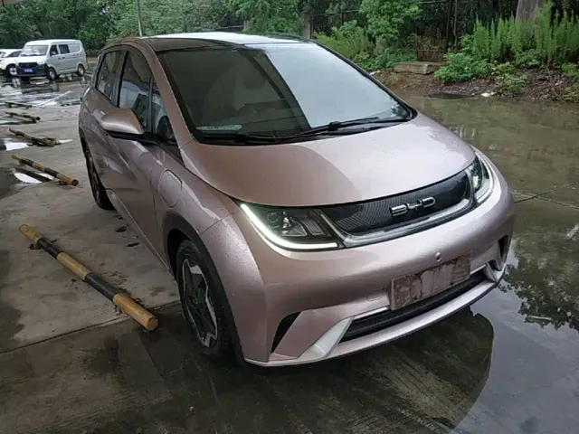 BYD Dolphin — Фото автомобиля 3