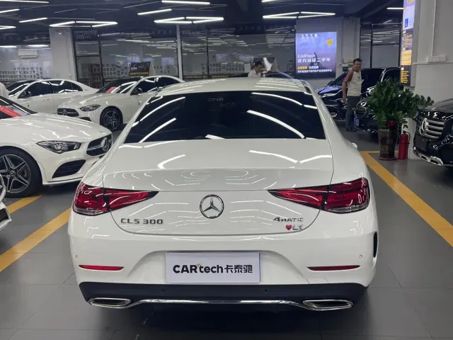 Mercedes-Benz CLS-Class — Фото автомобиля 6