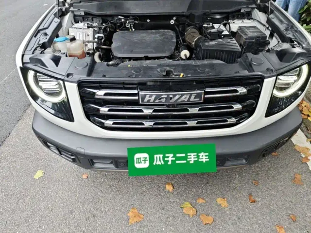 Haval Big Dog — Фото автомобиля 16