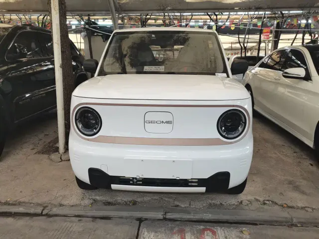 Geely Panda — Фото автомобиля 2