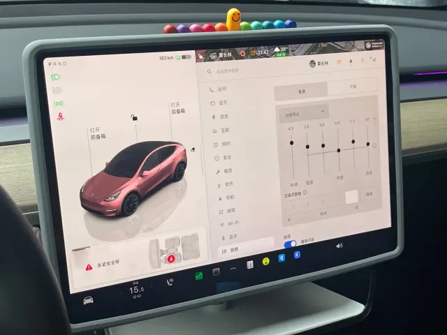 Tesla Model Y — Фото автомобиля 14