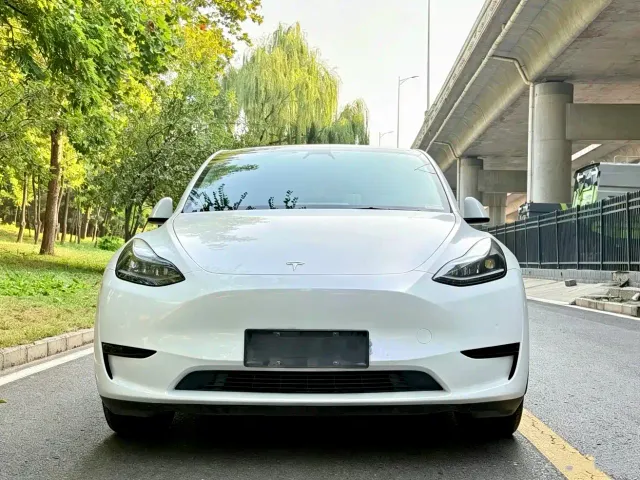 Tesla Model Y — Фото автомобиля 2