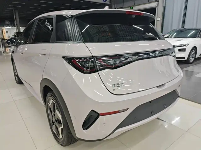 BYD Dolphin — Фото автомобиля 4