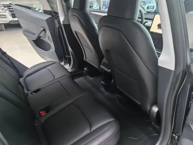 Tesla Model Y — Фото автомобиля 11