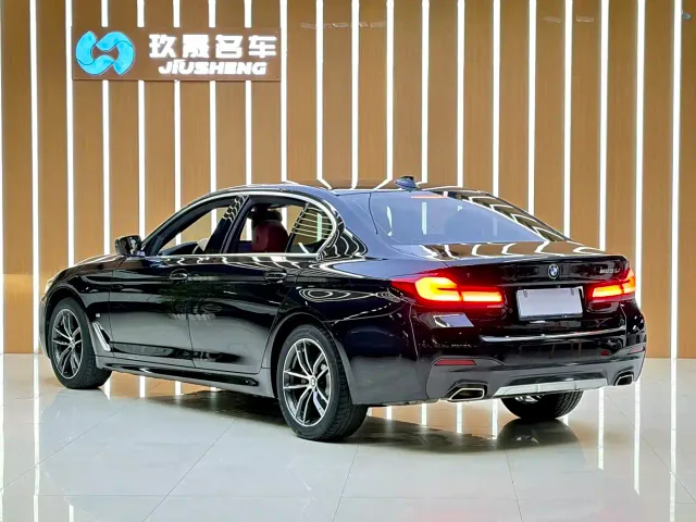 BMW 5 Series — Фото автомобиля 21