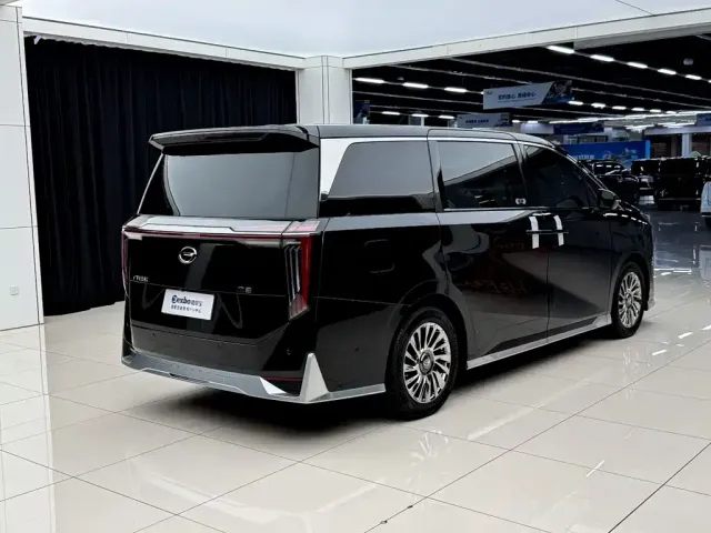 GAC Trumpchi M8 — Фото автомобиля 13