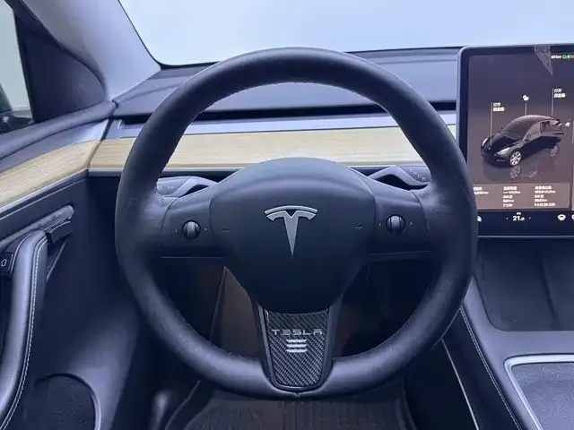 Tesla Model Y — Фото автомобиля 13