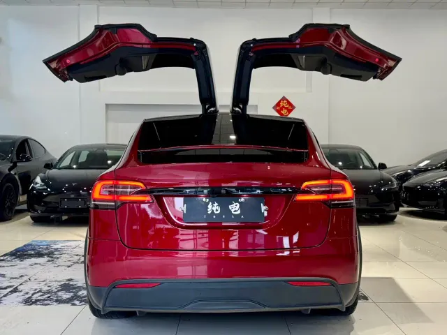 Tesla Model X — Фото автомобиля 17