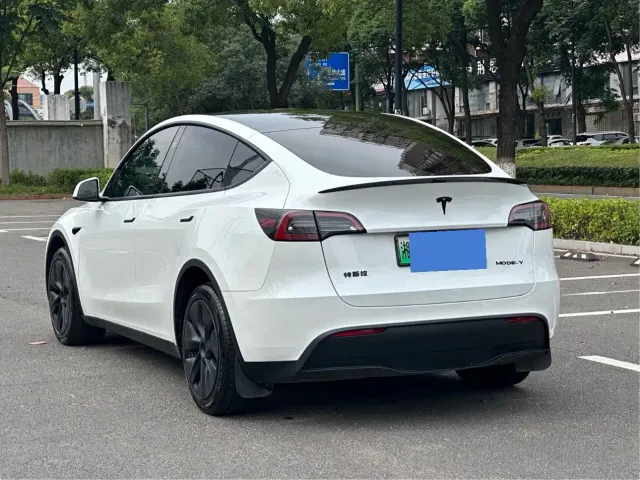 Tesla Model Y — Фото автомобиля 5