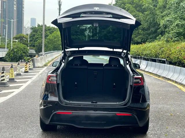 Tesla Model Y — Фото автомобиля 14