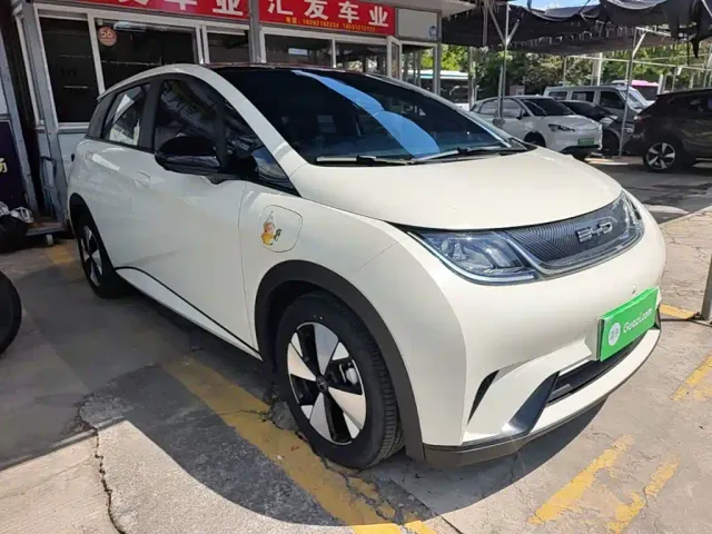 BYD Dolphin — Фото автомобиля 21