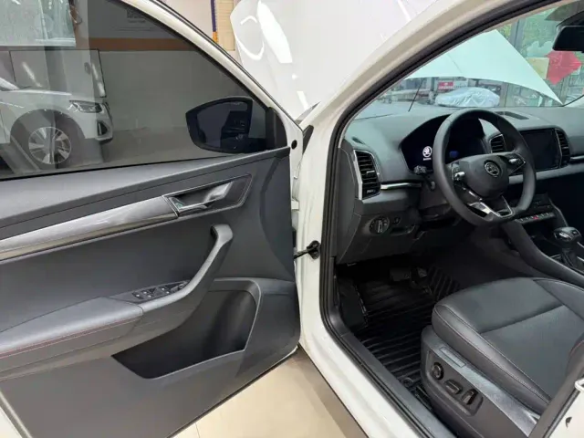 Skoda Karoq — Фото автомобиля 8