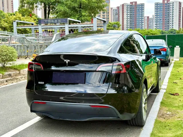Tesla Model Y — Фото автомобиля 9