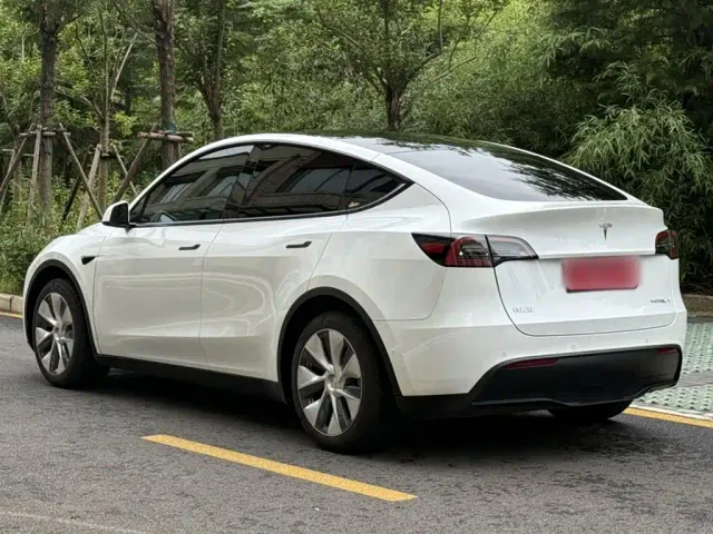 Tesla Model Y — Фото автомобиля 12