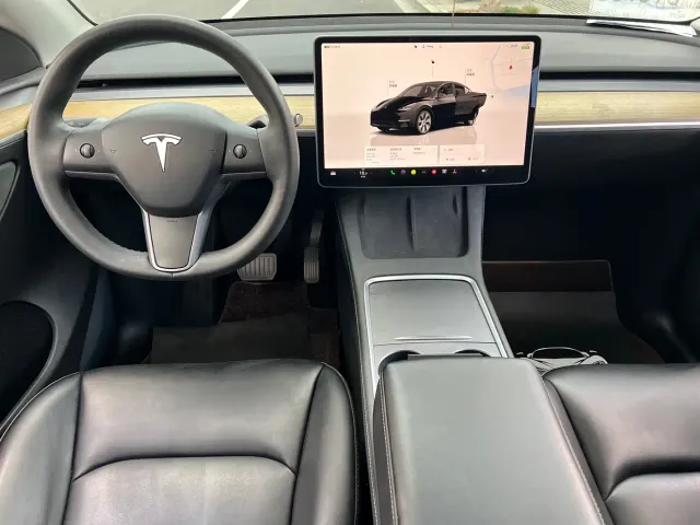 Tesla Model Y — Фото автомобиля 6