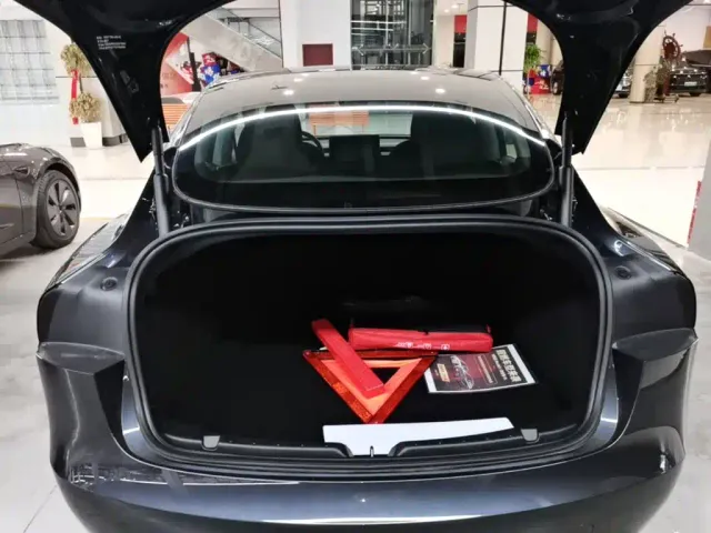 Tesla Model 3 — Фото автомобиля 18